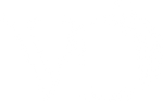 Videl USA